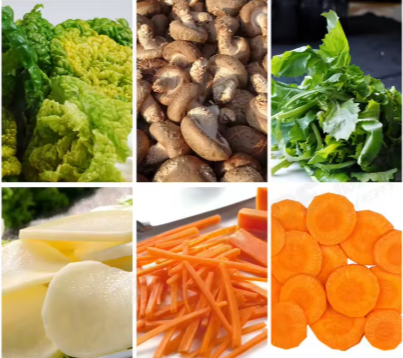 MATAF MTF-TD145 STAINLESS STEEL FOOD DEHYDRATOR DESIZING MACHINE