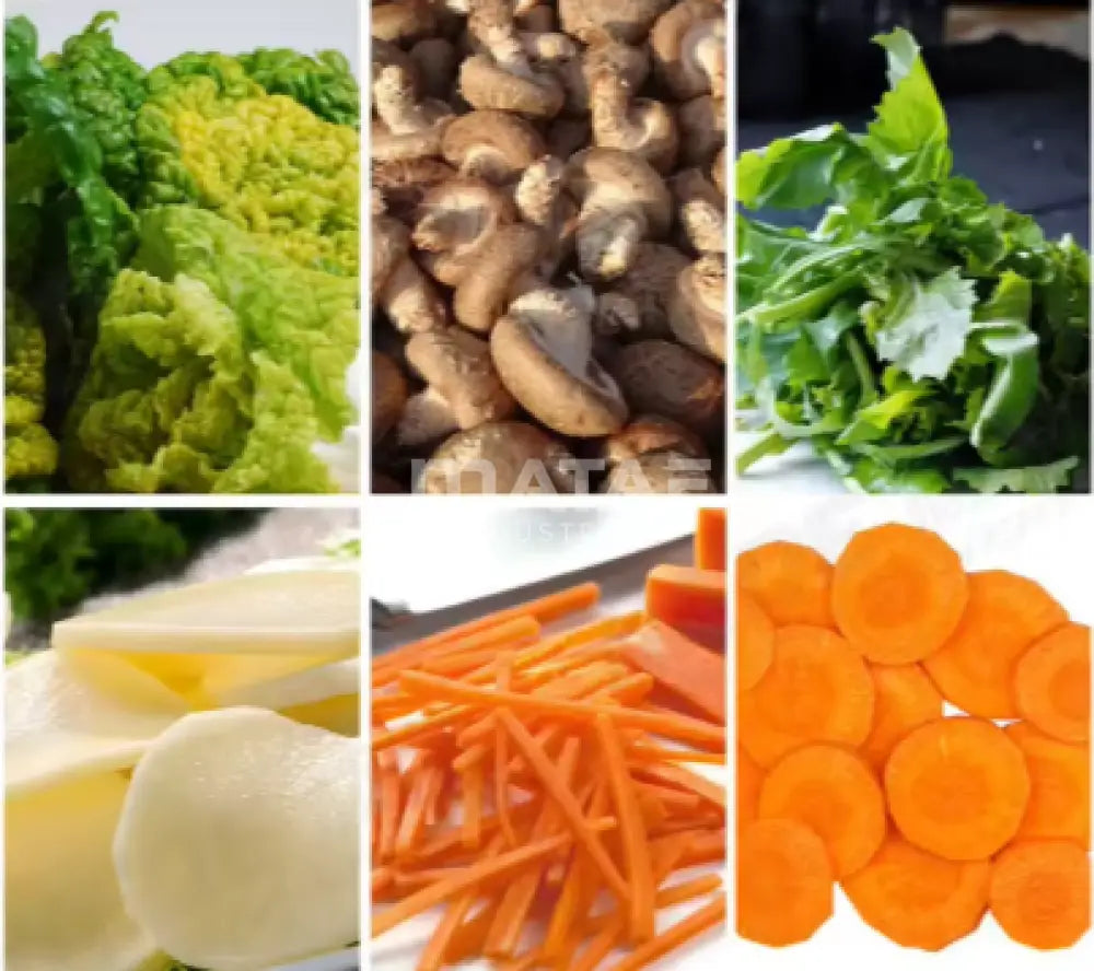 MATAF MTF-TD145 STAINLESS STEEL FOOD DEHYDRATOR DESIZING MACHINE