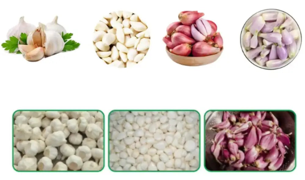 MATAF MTF-GP SERIES GARLIC PEELING MACHINE